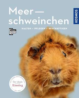 Meerschweinchen de Angela Beck