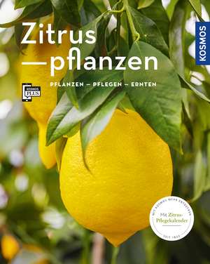 Zitruspflanzen (Mein Garten) de Dominik Große Holtforth