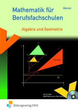 Mathematik für Berufsfachschulen de Rolf Männel