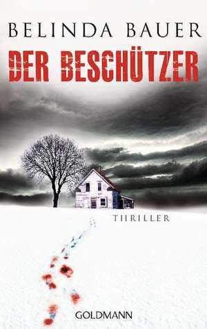 Der Beschützer de Belinda Bauer