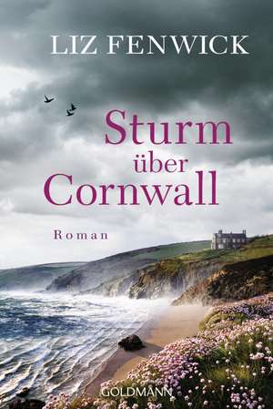 Sturm über Cornwall de Liz Fenwick