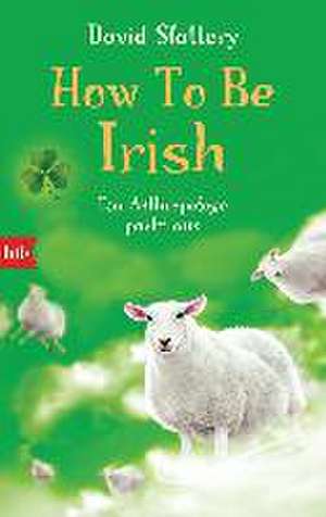 How To Be Irish de David Slattery