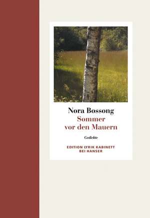 Sommer vor den Mauern de Nora Bossong