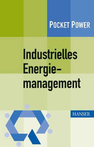 Industrielles Energiemanagement de Robert Schmitt