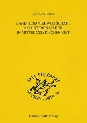 Land- Und Viehwirtschaft Am Unteren Habur in Mittelassyrischer Zeit