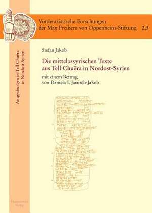 Die Mittelassyrischen Texte Aus Tell Chuera in Nordost-Syrien