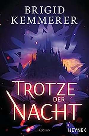 Trotze der Nacht de Brigid Kemmerer