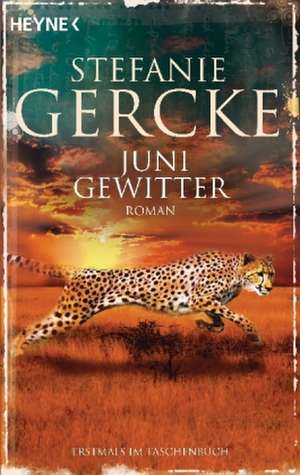 Junigewitter de Stefanie Gercke
