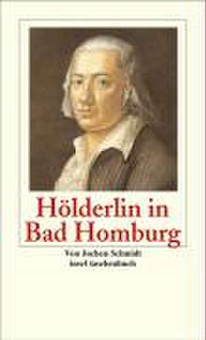 Hölderlin in Bad Homburg de Jochen Schmidt