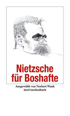 Nietzsche für Boshafte de Friedrich Nietzsche