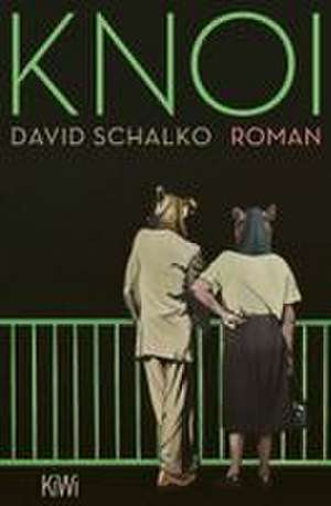 Knoi de David Schalko