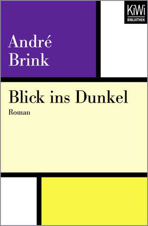 Blick ins Dunkel de André Brink