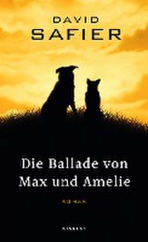 Die Ballade von Max und Amelie de David Safier