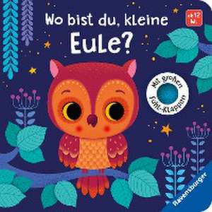 Wo bist du, kleine Eule? de Klara Tünner