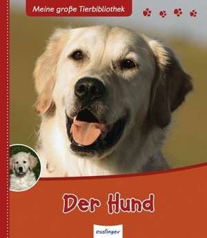 Der Hund de Valerie Tracqui