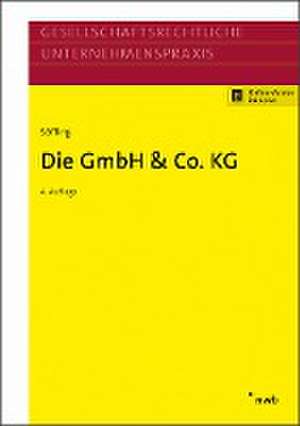 Die GmbH & Co. KG de Michael Bisle