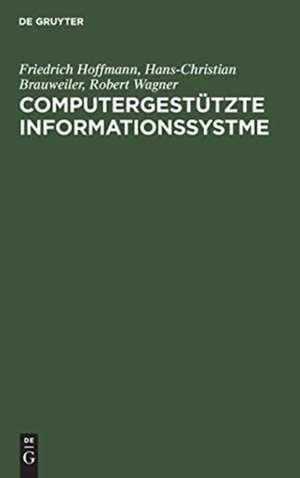 Computergestützte Informationssystme de Friedrich Hoffmann