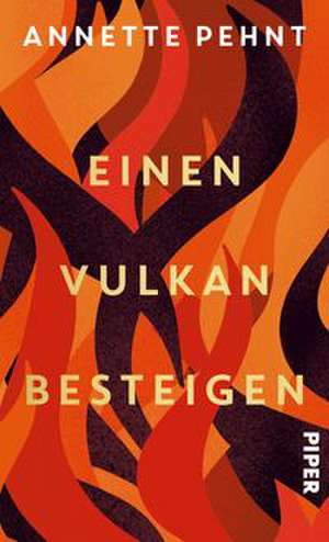 Einen Vulkan besteigen de Annette Pehnt
