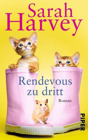 Rendezvous zu dritt de Sarah Harvey