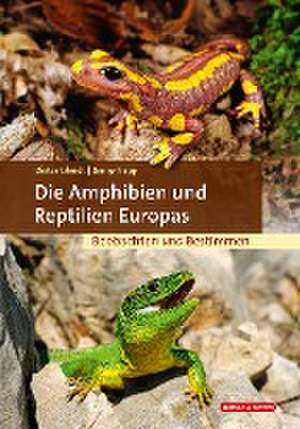 Die Amphibien und Reptilien Europas de Dieter Glandt