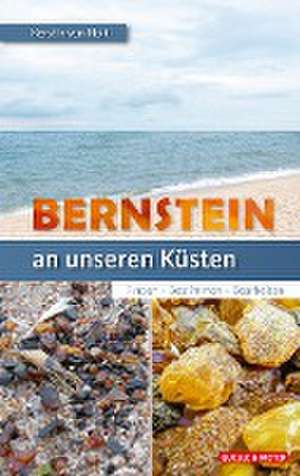 Bernstein an unseren Küsten de Kerstin von Holt