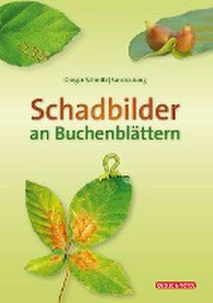 Schadbilder an Buchenblättern de Gregor Schmitz