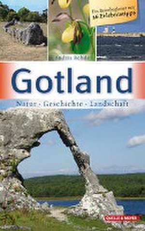 Gotland de Andrea Rohde