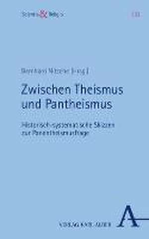 Zwischen Theismus und Pantheismus de Bernhard Nitsche