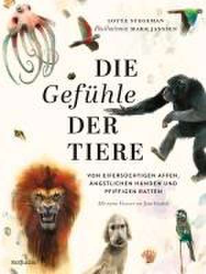 Die Gefühle der Tiere de Lotte Stegeman