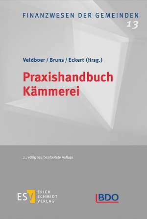 Praxishandbuch Kämmerei de Beate Behnke-Hahne