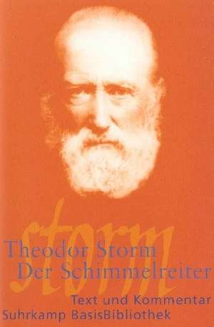 Der Schimmelreiter de Theodor Storm