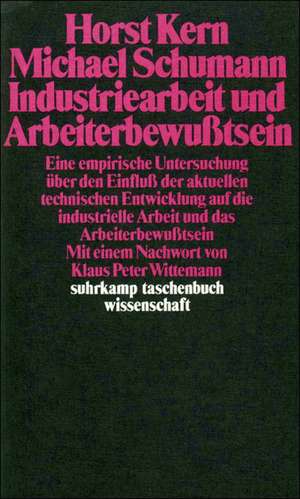 Industriearbeit und Arbeiterbewußtsein de Horst Kern