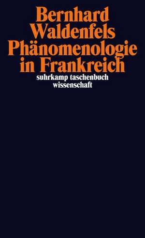 Phänomenologie in Frankreich de Bernhard Waldenfels