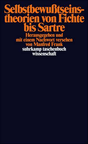 Selbstbewußtseinstheorien von Fichte bis Sartre de Manfred Frank