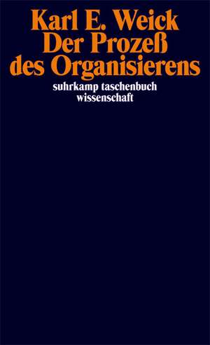 Der Prozeß des Organisierens de Karl E. Weick