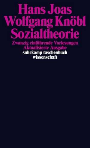 Sozialtheorie de Hans Joas