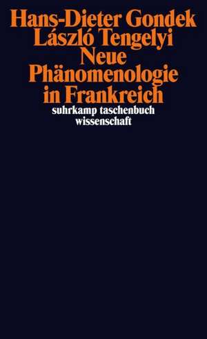 Neue Phänomenologie in Frankreich de Hans-Dieter Gondek