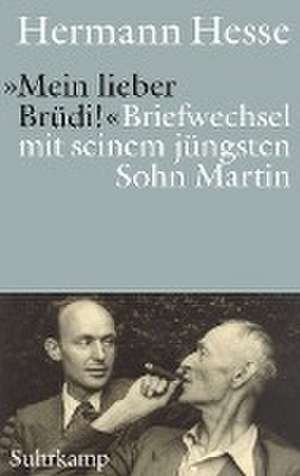 'Mein lieber Brüdi!' de Hermann Hesse