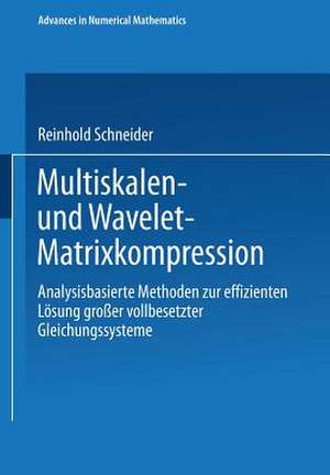 Multiskalen- und Wavelet-Matrixkompression: Analysisbasierte Methoden zur effizienten Lösung großer vollbesetzter Gleichungssysteme de Reinhold Schneider