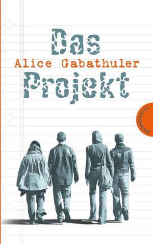 Das Projekt de Alice Gabathuler