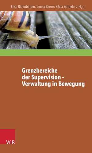 Grenzbereiche Der Supervision - Verwaltung in Bewegung: Reflexivitat ALS Profession de Elise Bittenbinder