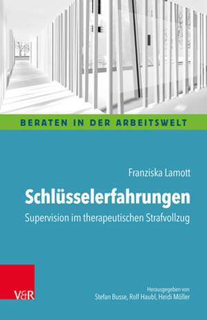 Schlüsselerfahrungen: Supervision im therapeutischen Strafvollzug de Franziska Lamott