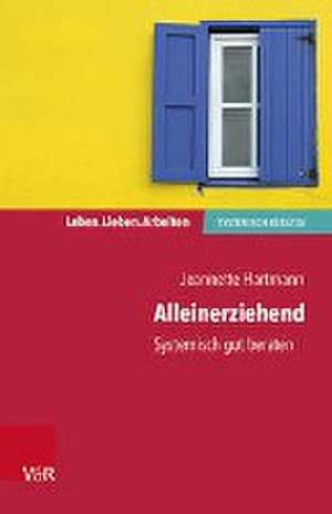 Alleinerziehend de Jeannette Hartmann