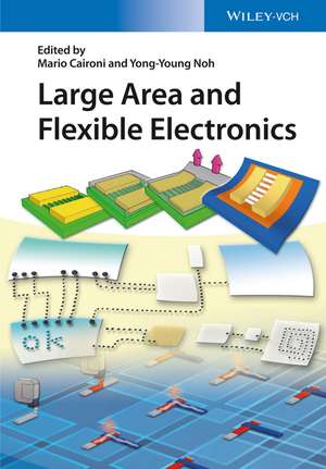 Large Area and Flexible Electronics de M Caironi