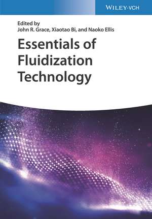 Essentials of Fluidization Technology de J. R. Grace