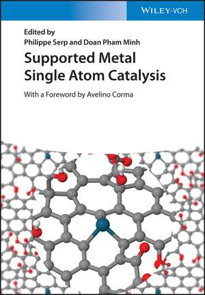 Supported Metal Single Atom Catalysis de P Serp