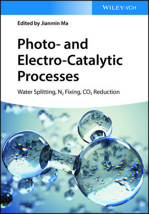 Photo– and Electro–Catalytic Processes – Water Splitting, N2 Fixing, CO2 Reduction de J Ma