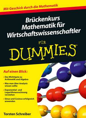 Brückenkurs Mathematik für Wirtschaftswissenschaftler für Dummies de T Schreiber