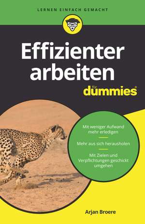 Effizienter arbeiten für Dummies de A Broere