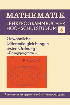 Gewöhnliche Differentialgleichungen erster Ordnung: Übungsprogramm de Edith Berane